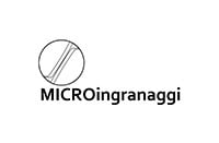 microingranaggi